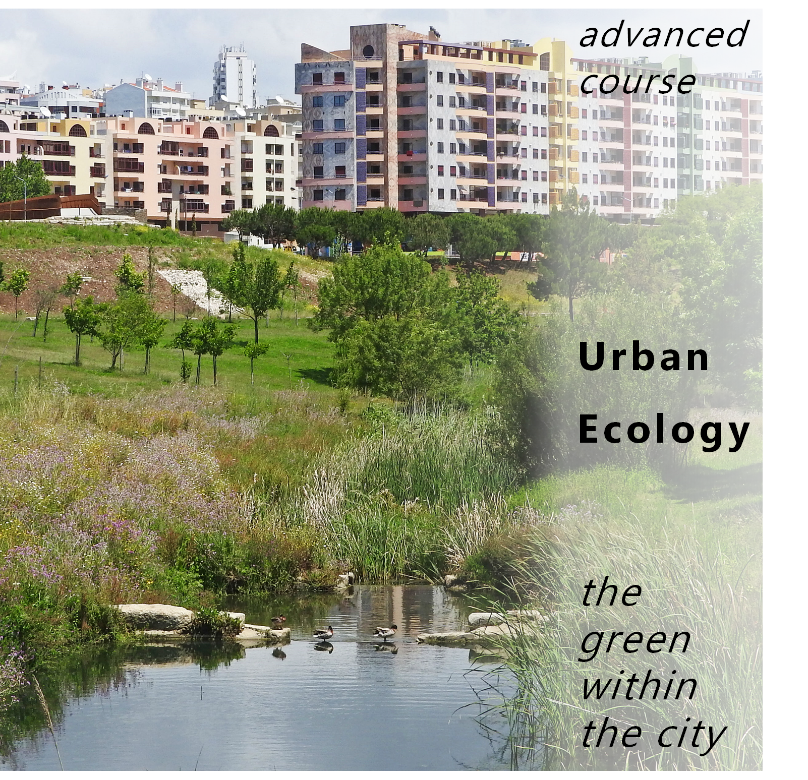 UrbanEcology_course